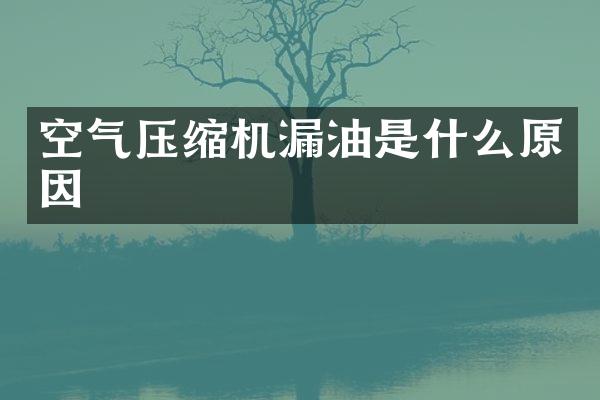 空氣壓縮機(jī)漏油是什么原因