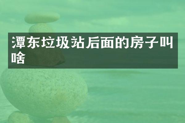 潭東垃圾站后面的房子叫啥