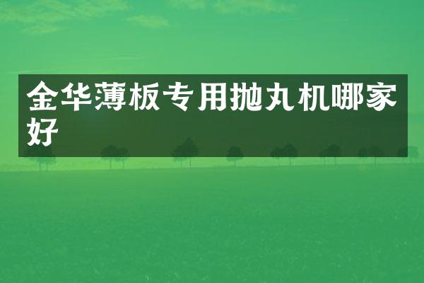 金華薄板專用拋丸機哪家好