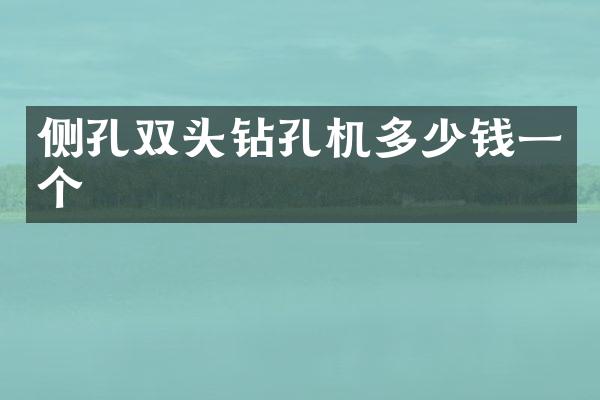 側孔雙頭鉆孔機多少錢一個