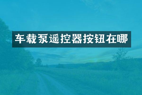 車載泵遙控器按鈕在哪