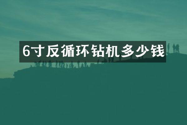 6寸反循環(huán)鉆機(jī)多少錢