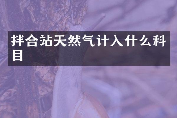 拌合站天然氣計(jì)入什么科目