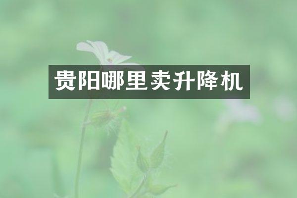 貴陽哪里賣升降機