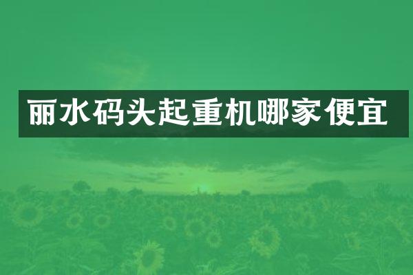 麗水碼頭起重機哪家便宜