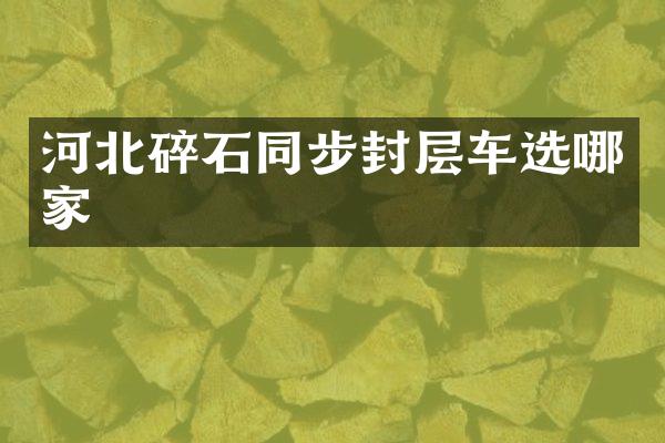 河北碎石同步封層車選哪家