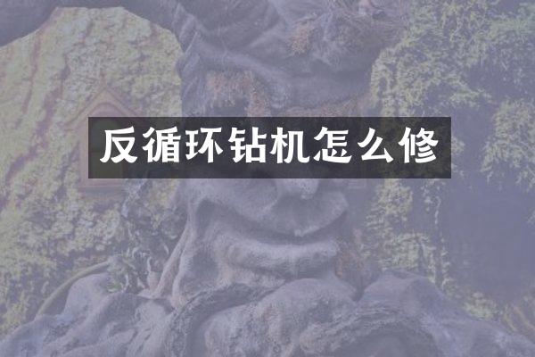 反循環(huán)鉆機(jī)怎么修