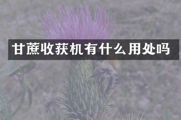 甘蔗收獲機(jī)有什么用處嗎