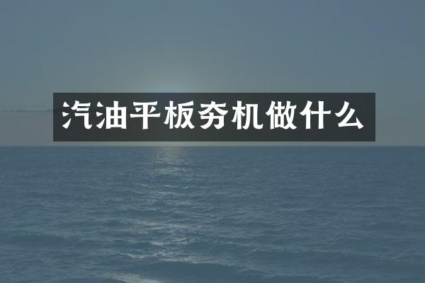 汽油平板夯機做什么