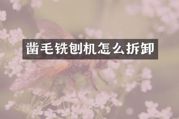 鑿毛銑刨機(jī)怎么拆卸