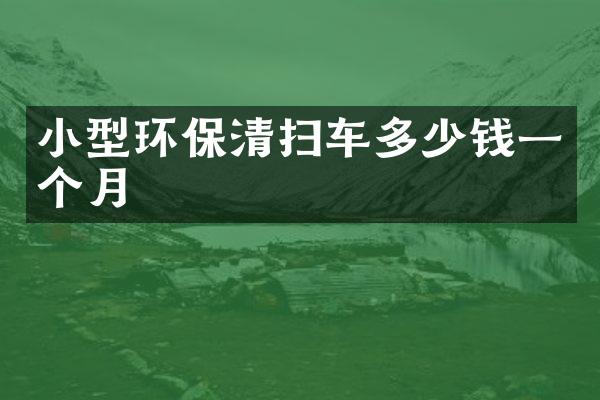 小型環(huán)保清掃車多少錢一個(gè)月