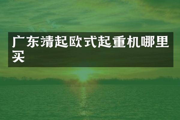 廣東靖起歐式起重機哪里買