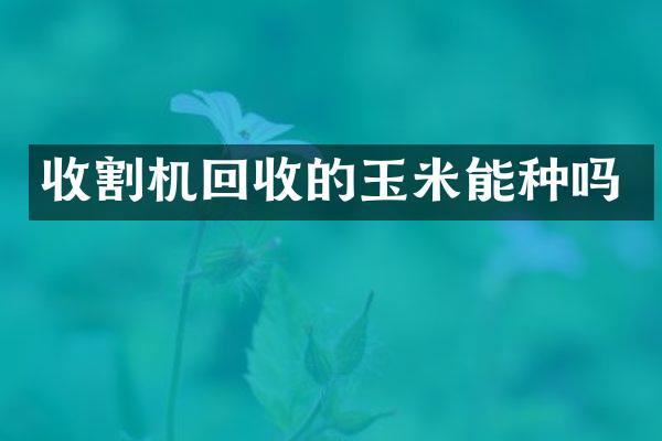 收割機回收的玉米能種嗎