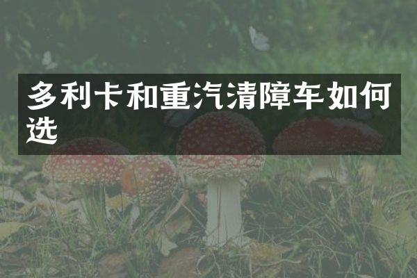 多利卡和重汽清障車如何選