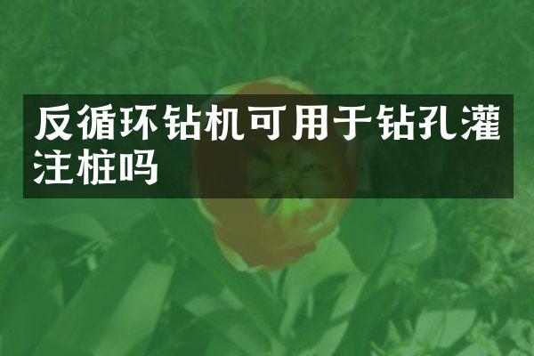 反循環(huán)鉆機可用于鉆孔灌注樁嗎