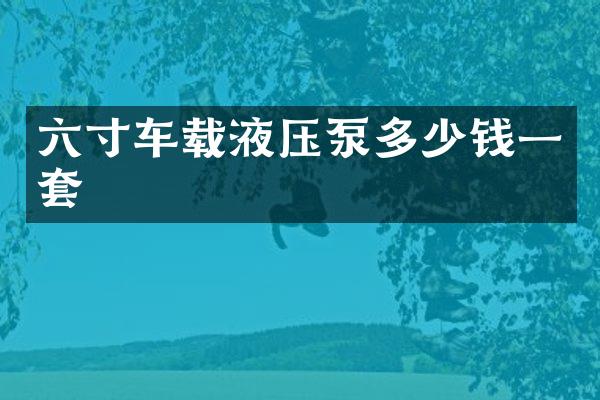 六寸車載液壓泵多少錢一套