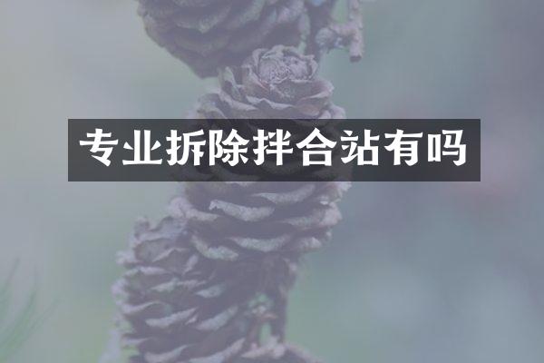 專業(yè)拆除拌合站有嗎