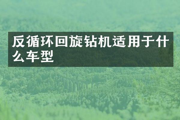 反循環(huán)回旋鉆機適用于什么車型