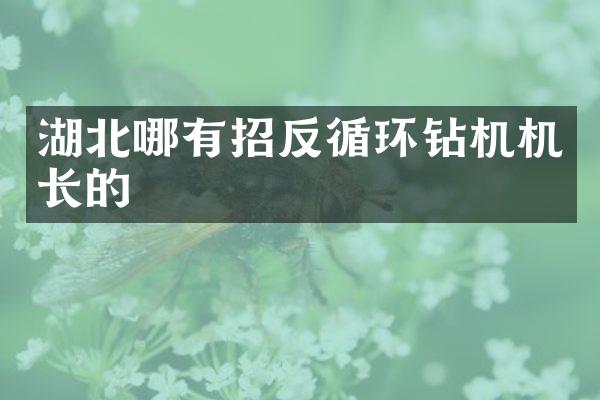 湖北哪有招反循環(huán)鉆機(jī)機(jī)長(zhǎng)的