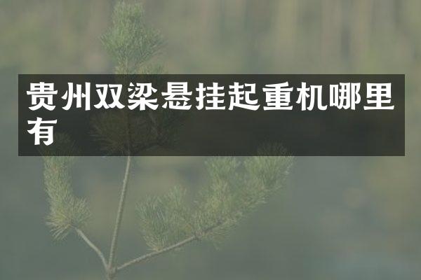 貴州雙梁懸掛起重機(jī)哪里有