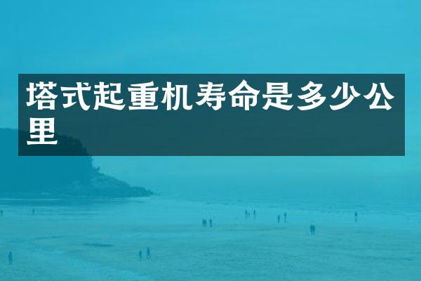 塔式起重機(jī)壽命是多少公里