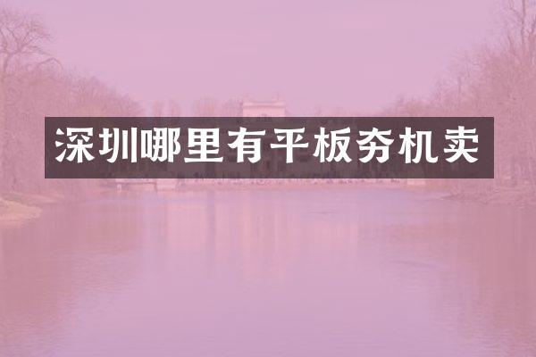 深圳哪里有平板夯機賣