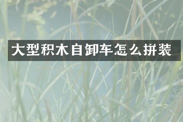 大型積木自卸車怎么拼裝