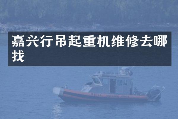 嘉興行吊起重機(jī)維修去哪找