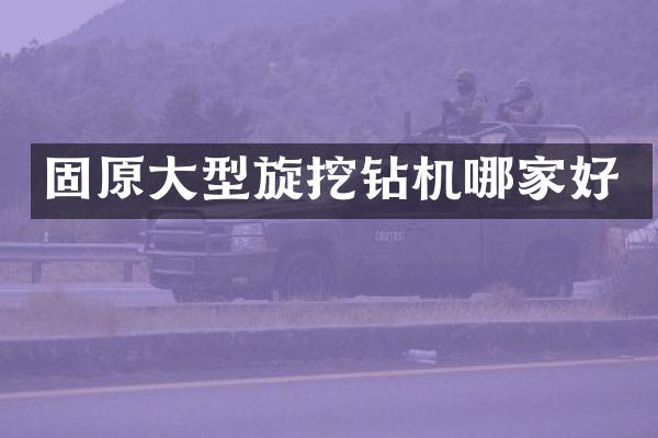 固原大型旋挖鉆機(jī)哪家好