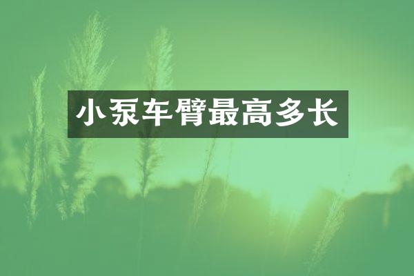 小泵車臂最高多長(zhǎng)