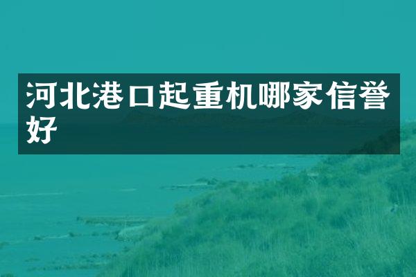 河北港口起重機哪家信譽好