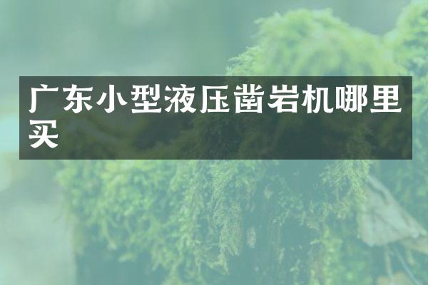 廣東小型液壓鑿巖機哪里買