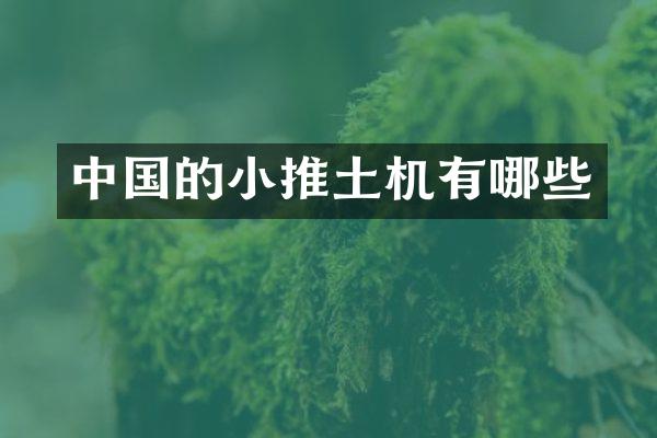 中國的小推土機有哪些