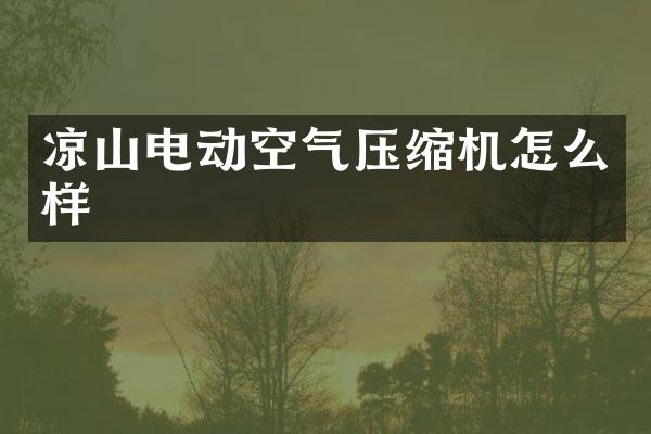 涼山電動空氣壓縮機怎么樣