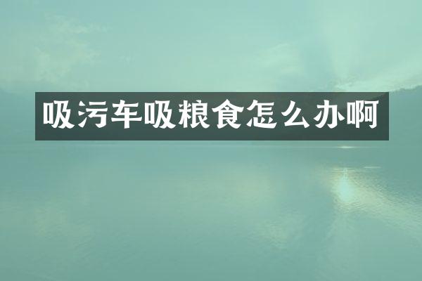 吸污車吸糧食怎么辦啊