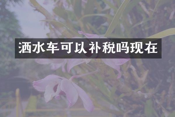 灑水車(chē)可以補(bǔ)稅嗎現(xiàn)在