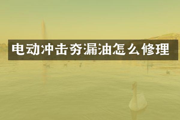 電動沖擊夯漏油怎么修理