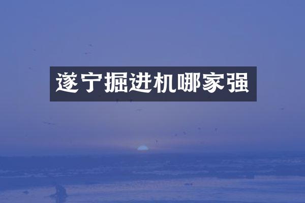 遂寧掘進(jìn)機(jī)哪家強(qiáng)