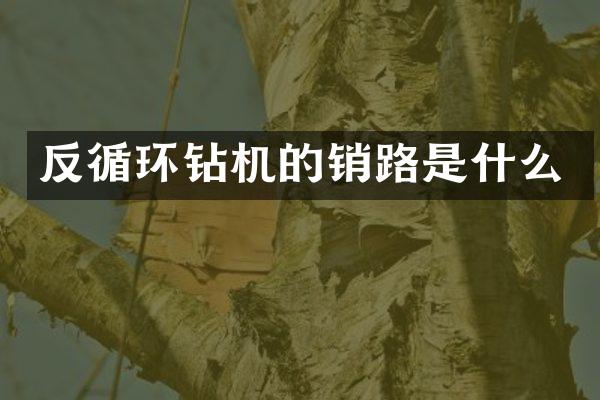 反循環(huán)鉆機(jī)的銷路是什么