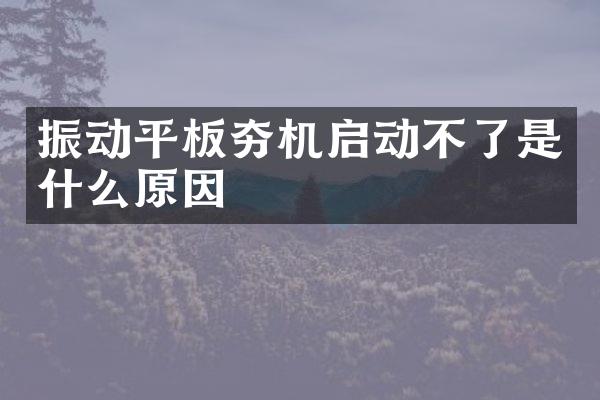 振動平板夯機啟動不了是什么原因