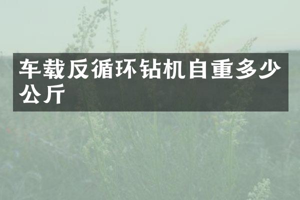 車載反循環(huán)鉆機自重多少公斤