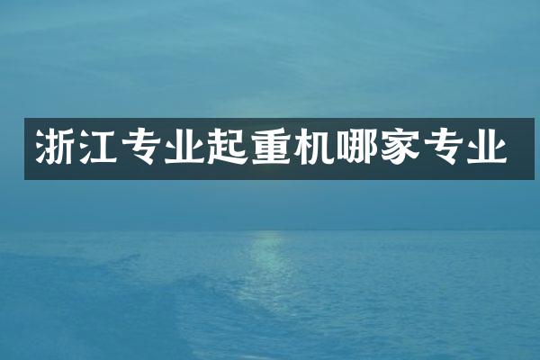 浙江專業(yè)起重機哪家專業(yè)