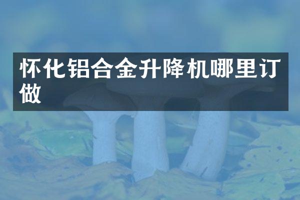 懷化鋁合金升降機哪里訂做