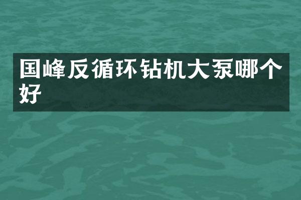 國峰反循環(huán)鉆機(jī)大泵哪個好