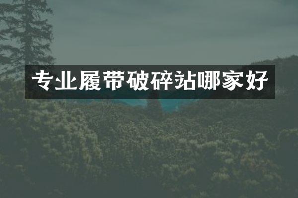 專業(yè)履帶破碎站哪家好