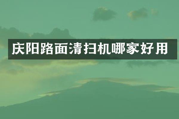 慶陽路面清掃機哪家好用