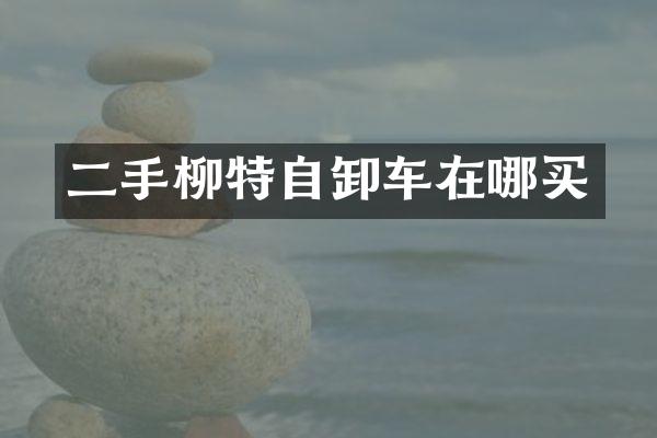 二手柳特自卸車(chē)在哪買(mǎi)