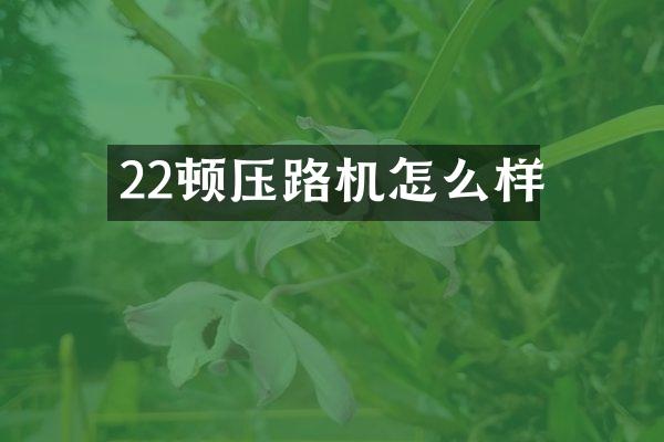 22頓壓路機(jī)怎么樣