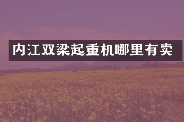 內(nèi)江雙梁起重機(jī)哪里有賣