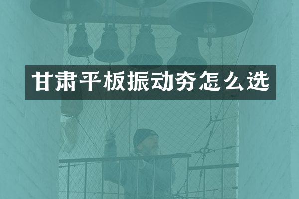 甘肅平板振動夯怎么選